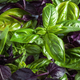 Image for article titled Break pesto from its Italian confines with spicy Thai basil noodles